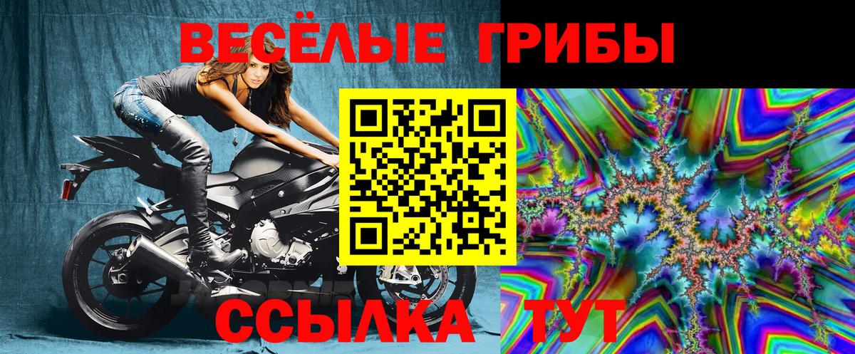Кыштым  Псилоцибиновые грибы Magic Shrooms  Вход с VPN 